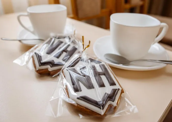 Na Horyzonti 酒店 特鲁斯卡韦茨